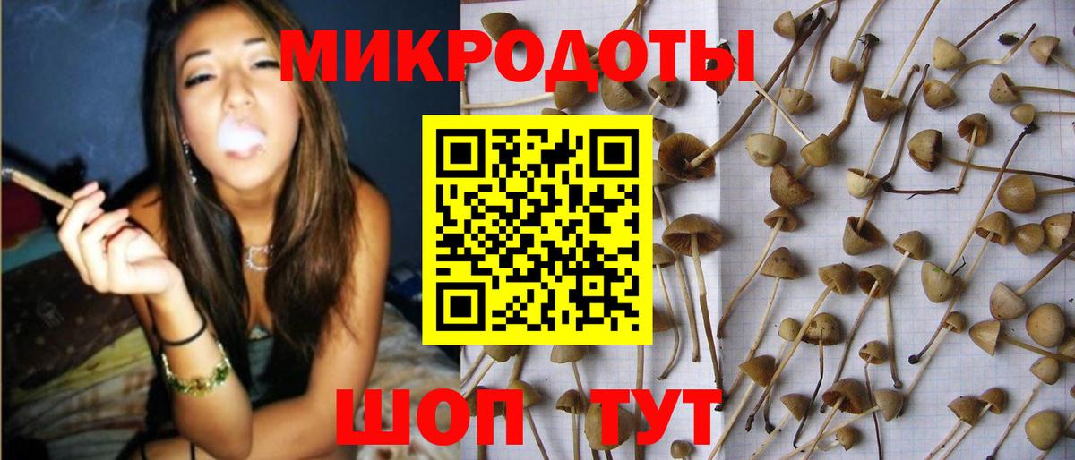 Псилоцибиновые грибы GOLDEN TEACHER  Галлюциногенные грибы Magic Shrooms  Канаш  Вход с VPN 
