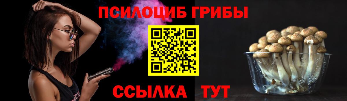 Галлюциногенные грибы мицелий Канаш